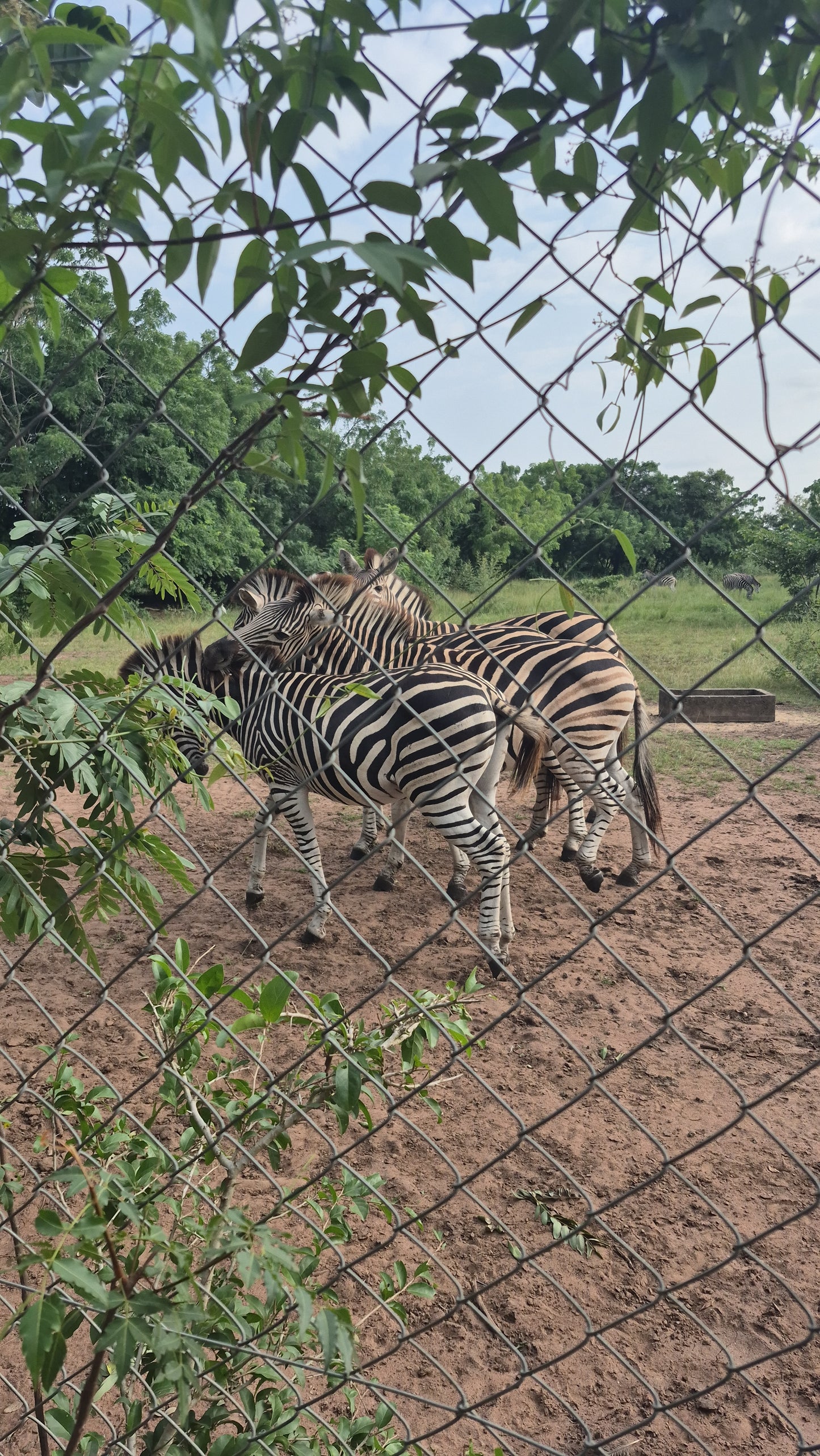 🇬🇭🌍 Ghana Grand Explorer – 7, 10, or 14 Days